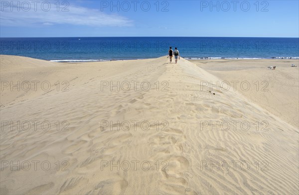 Maspalomas Dunes Nature Reserve