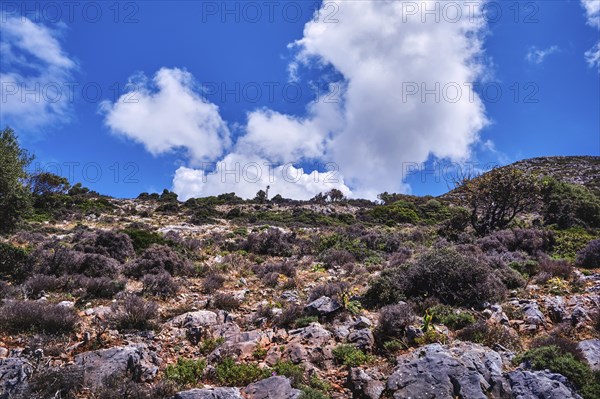 Upshot of beautiful typical Greek or Cretan landscape in spring