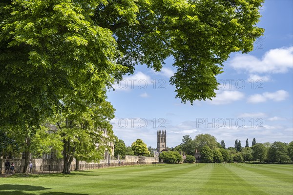 View across the grass playing field Merton Field to the church tower of Merton College Chapel