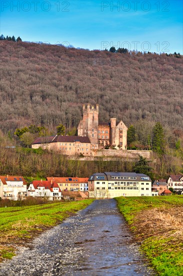 Neckarsteinach