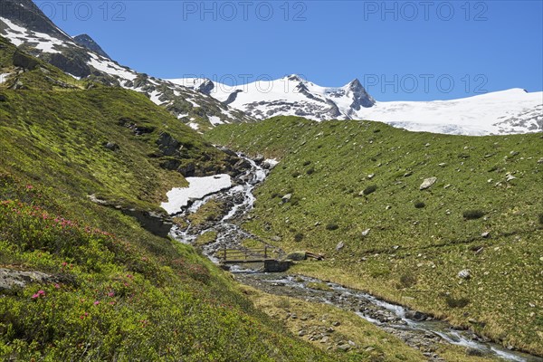 Stream with bridge