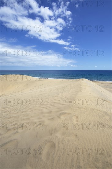 Maspalomas Dunes Nature Reserve