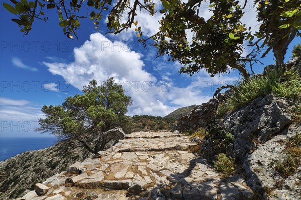 Typical Greek or Cretan landscape. Paved stairs down the hills and mountains