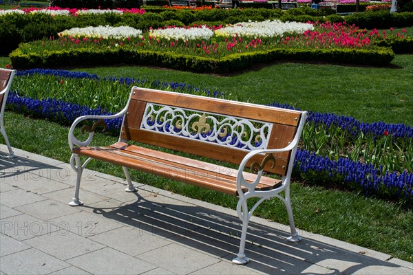 Wooden park bench at a park