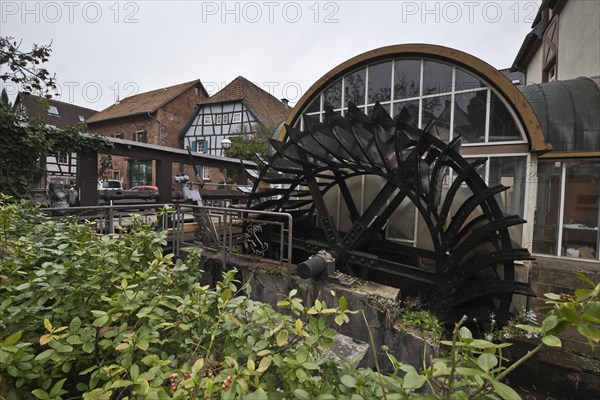 Paddle wheel of the water mill in Annweiler