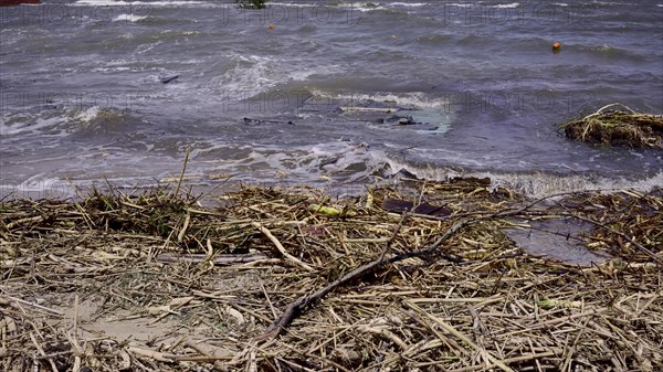 Part of wall of house floats near shore