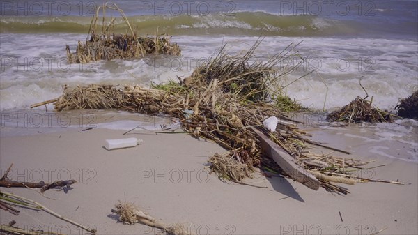 Floating debris has reached Black Sea beaches in Odessa