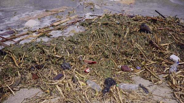 Close-up of floating debris has reached Black Sea beaches in Odessa