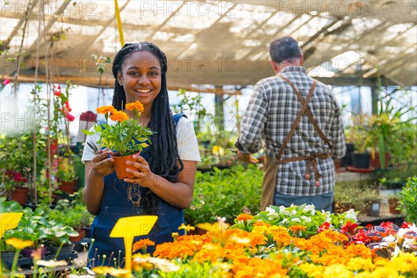 Black ethnic woman nursery worker with a flower pot of plants in the greenhouse