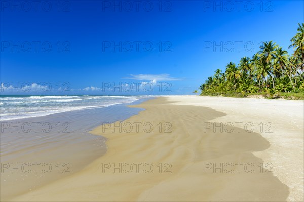 Tropical beach with coconut trees next to the sea and sand in Serra Grande on the coast of Bahia