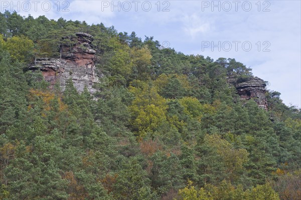 Rocks in the Palatinate Forest