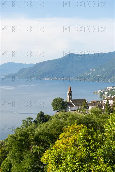 Panoramic View over Church and Alpine Lake Maggiore with Mountain in Ronco sopra Ascona
