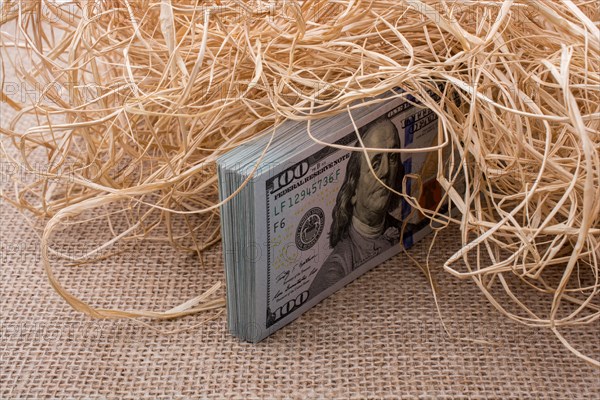 Banknote bundle of US dollar in a straw pile on canvas