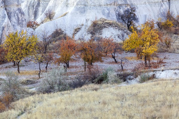 Landscape with tufa formations