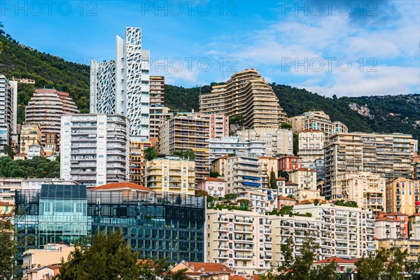 View of Monaco from Avenue de la Porte Neuve