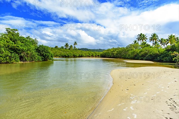 River with greenish waters flowing through the mangrove vegetation and rainforest in Serra Grande in the state of Bahia
