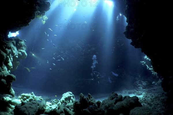 Divers swimming in caves