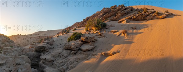 Desert landscape in North Africa at sunset. panoramic view