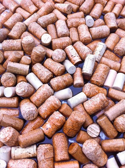 Many Wine Corks Floating on Water in Switzerland