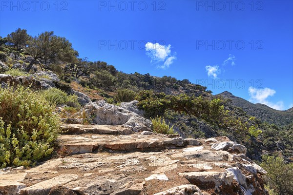 Typical Greek or Cretan landscape