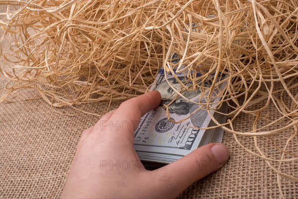 Banknote bundle of US dollar in a straw pile on canvas