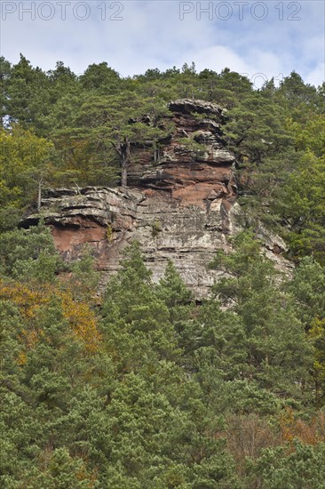 Rocks in the Palatinate Forest