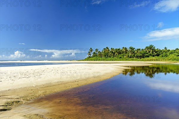 Where the river meets the sea with coconut trees in the background at Sargi beach in Serra Grande on the coast of Bahia