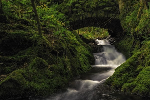 Historic stone bridge