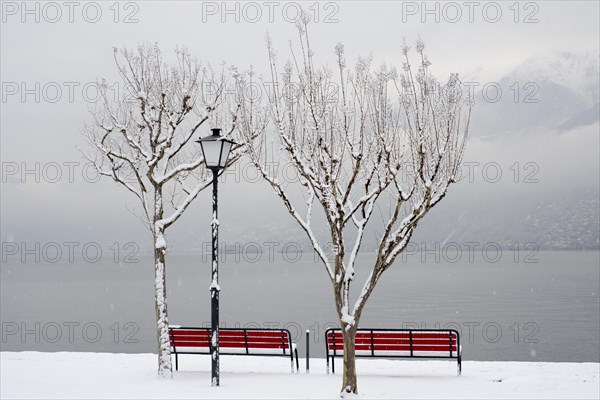 Bench on waterfront when it's snowing in winter
