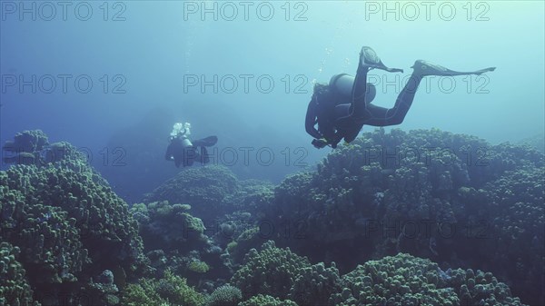 Group of scuba divers swims in the deep next to coral reef in bright sunny day