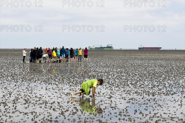 Waders