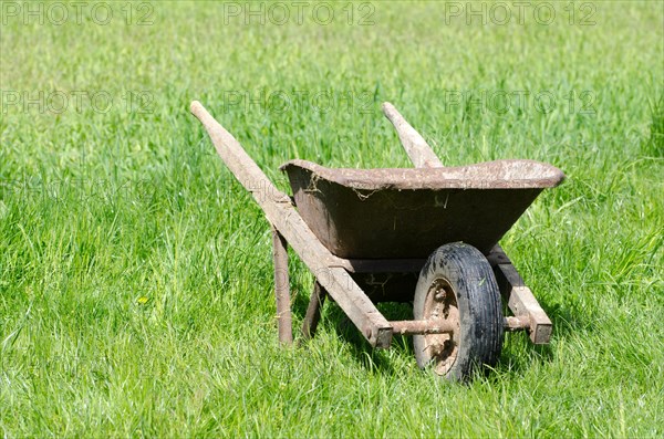 Wheelbarrow on the Green Field