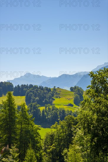 Aerial View over Mountain Range with Clear Blue Sky in Burgenstock