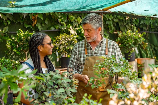 Master gardener teaching student girl flower nursery in greenhouse