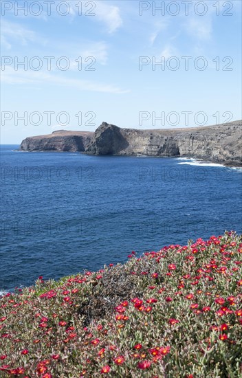 Cliffs in Agaete