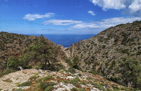 Typical Greek or Cretan landscape