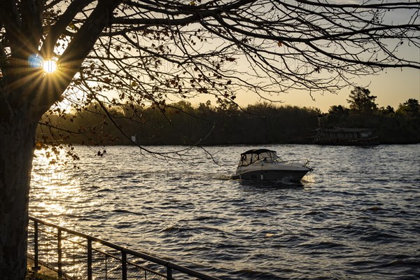 Boat sailing at sunset in the Tigre Delta