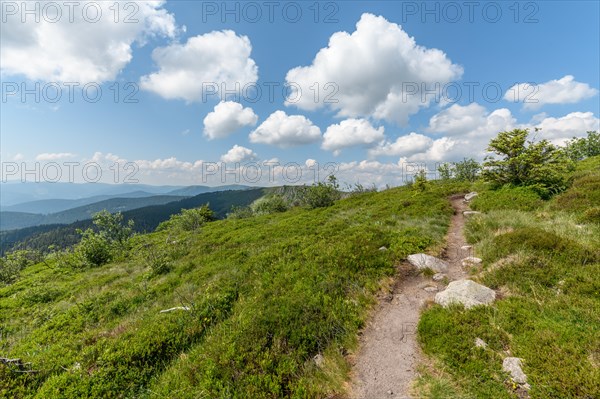 Landscape of the High Vosges near the riverbank road in spring. Collectivite europeenne d'Alsace