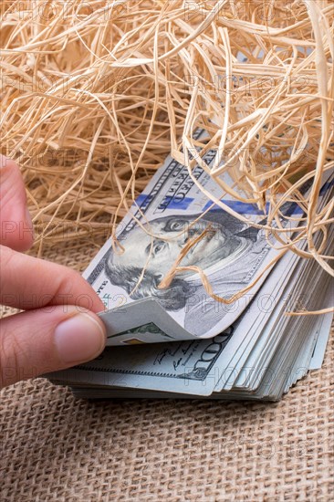 Banknote bundle of US dollar in a straw pile on canvas