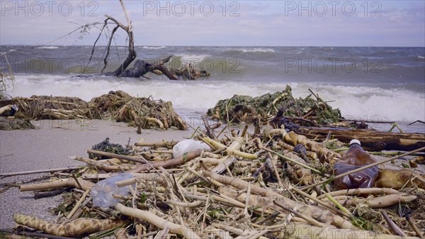 Plastic and other drifting debris has reached Black Sea beaches in Odessa