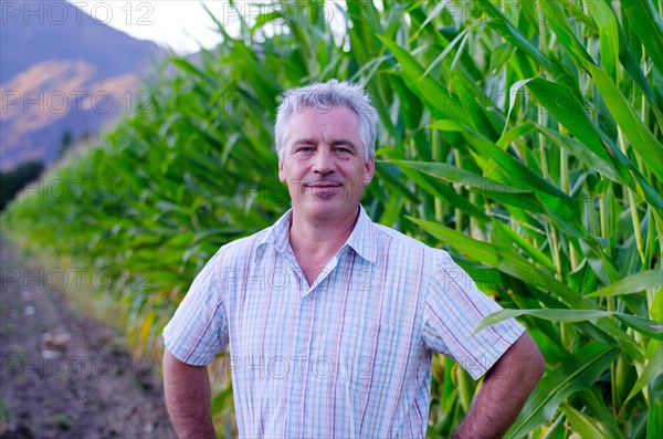 Happy Farmer Man with Grey Hair in His Corn Field