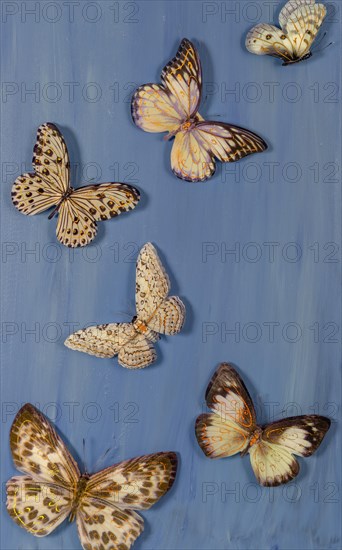 Artificial butterflies flying on a blue background