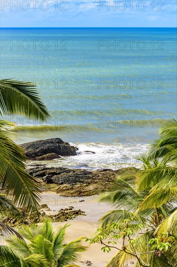 Tropical beach with vividly colored waters seen through the leaves of coconut trees in Serra Grande on the coast of Bahia