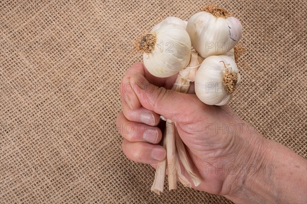 Hand holding cloves of garlic in view on a wooden texture