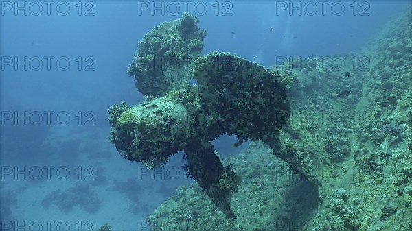 Propeller of ferry Salem Express shipwreck