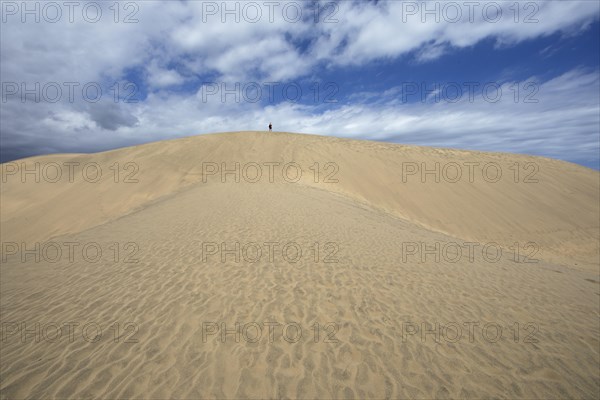 Maspalomas Dunes Nature Reserve