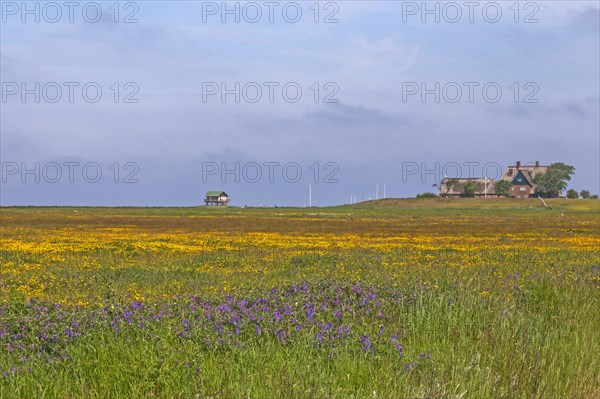 Hallig Hooge