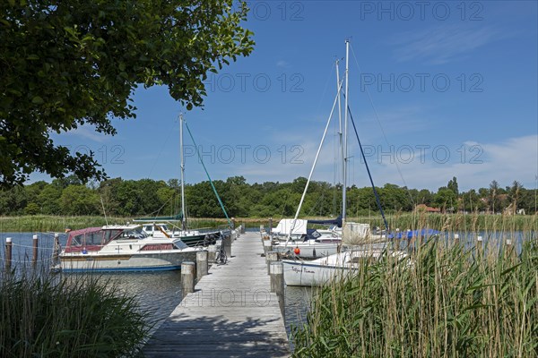 Sailing boats