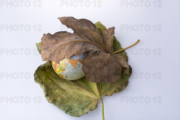 Little model globe placed between two large Autumn leaves