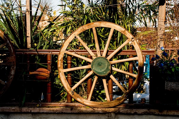 Old traditional style wagon wheel made of wood